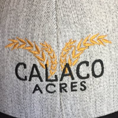 dcarrobourg's profile picture. Farm in SW Sask