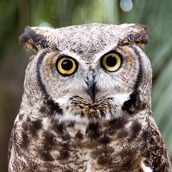 Old,,, Tired,,, Pissed Off Grey Beard
With Both Eyes Open...
I mostly post news and such,,,
feel free to read,,, & retweet... #Resistance