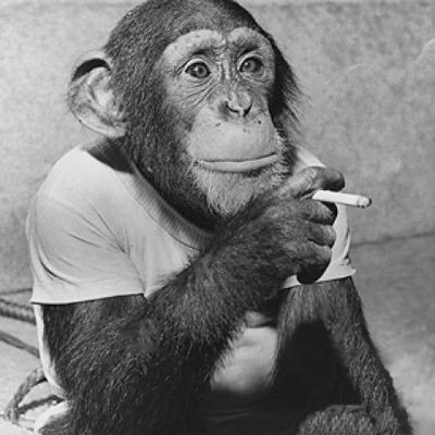 Lance_Camero's profile picture. Party on Wayne