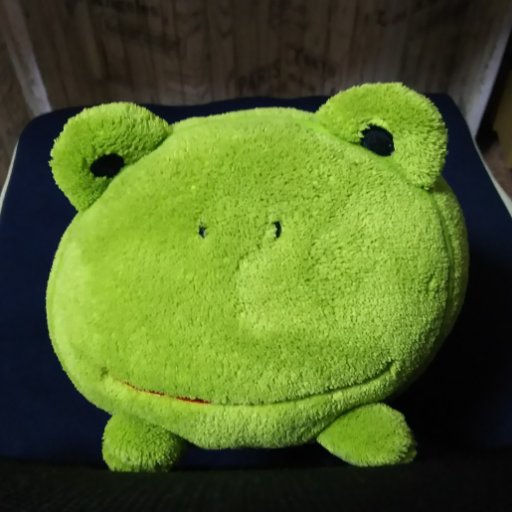 🐸こう🐸【冬眠中】さんのプロフィール画像