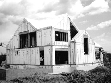 Our INSULATED PANELED HOMES are far superior to any materials in today's homes.We take plans, package,deliver for assembly! Email: energypanelhomes@yahoo.com