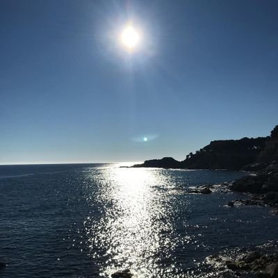 yolmargue69's profile picture. 