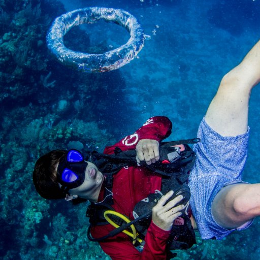 Blue Island Divers