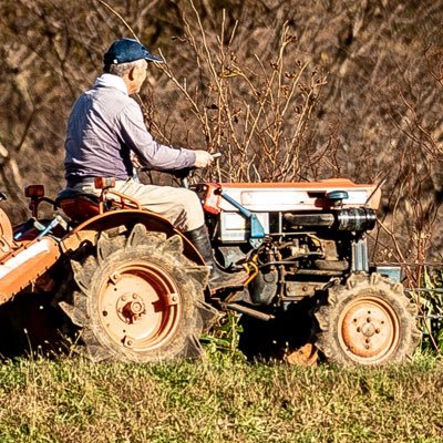 北海道北部の米農家🚜🌾北海道ですが勾配が大きい中山間地で想像されるでっかいどーではありません😵ひたすら田園風景を写真に収める変態な趣味があります😨📷