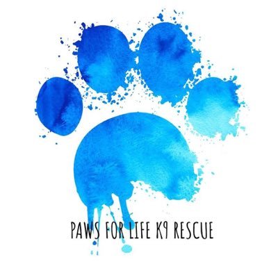 Prison dog training program for PTSD service dogs for veterans and CGC certified adoptable dogs.