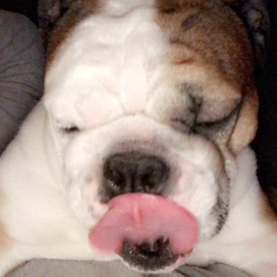 buurrbezzy's profile picture. 