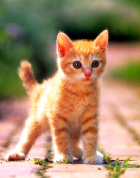 minji486's profile picture. Hi~
I'd like to make good friends.