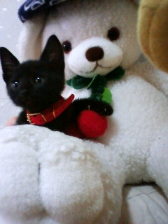 はづきちまま。