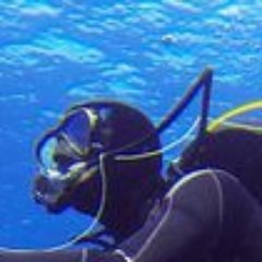 offtenchange's profile picture. 商贸网站开发及维护