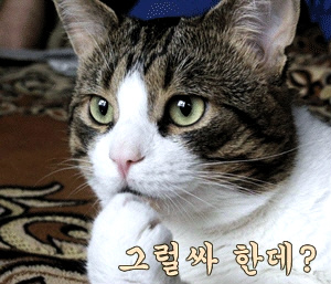 ezcode's profile picture. 