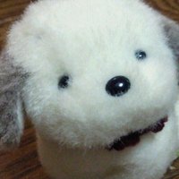 やまき (@ymk15xxx) 's Twitter Profile