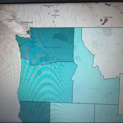 pnwpolitics's profile picture. What even is Election Twitter?