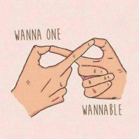 11 Stars🌟Update (@wannaoneupdate) 's Twitter Profile