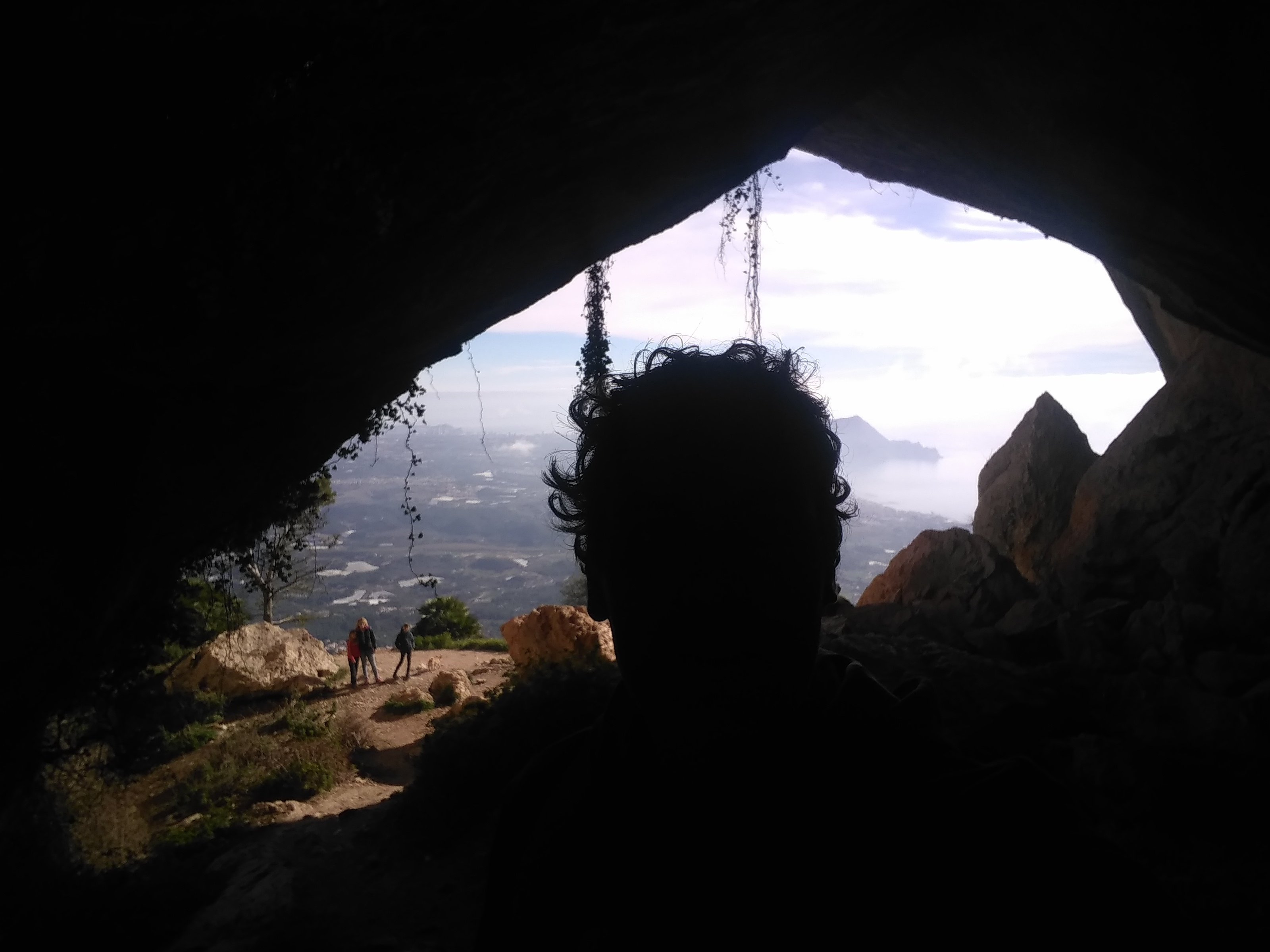 jofre_cespedes's profile picture. 