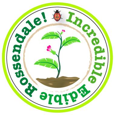 Incredible Edible Rossendale. Growing Food in Rossendale. Community. Education. Local food. The more we share, the more we have.