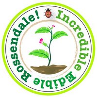 Incredible Edible (@ierossendale) 's Twitter Profile