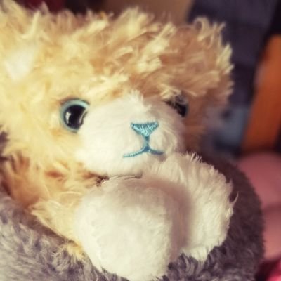 むぎさんのプロフィール画像