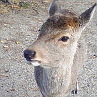ぽんずさんのプロフィール画像