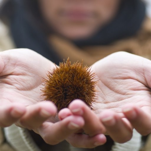 biostorenormand's profile picture. NUTRITION SANTE ,NATURELLE RAISONNÉE