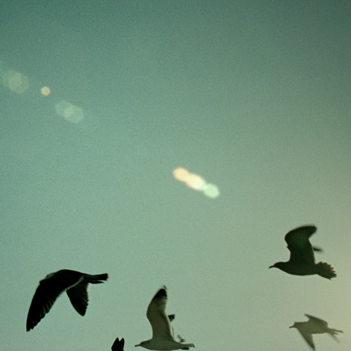 Studio896's profile picture. 