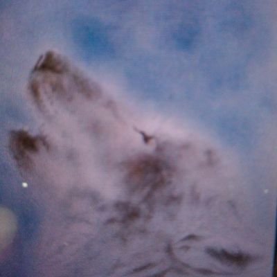 ペロリアン橋爪もも推しさんのプロフィール画像