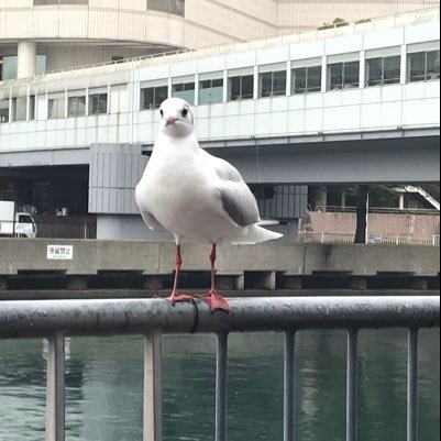 YZdSVFhnXG2Psaw's profile picture. 