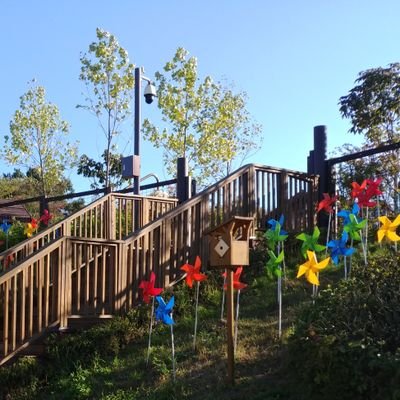 i860752ZyD2xxZr's profile picture. 