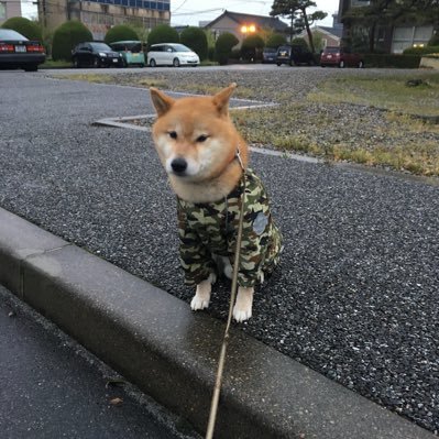 BeosKvkfTm2Htfo's profile picture. 