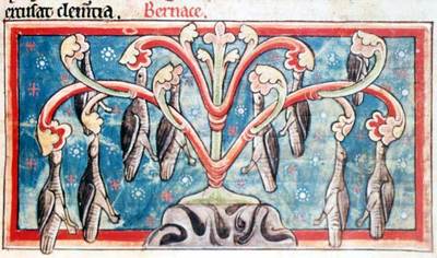 marginalianbook's profile picture. Rare,OOP,Antiquarian,Curio+Quality 2nd hand Independent Book Dealership.
By hand delivery available in the Edinburgh area. Stocks the shelves at Babka.