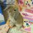 aliszero1のアイコン