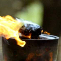 TorchRelayNet's profile picture. Torch Relay coverage.