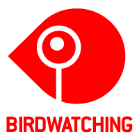 Graphic BirdWatching