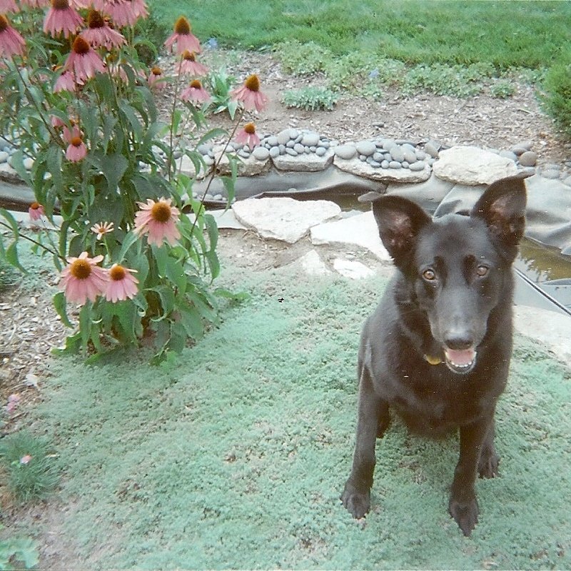 anderson4HOF's profile picture. 