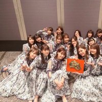 はろいす (@cutlets_twb) Twitter profile photo