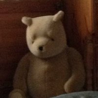 carole webster (@winnieweb) 's Twitter Profile