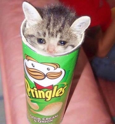 Grruuxx's profile picture. Cosplayer, gastronomiser, father of two beautiful menstrosities, proud mom.