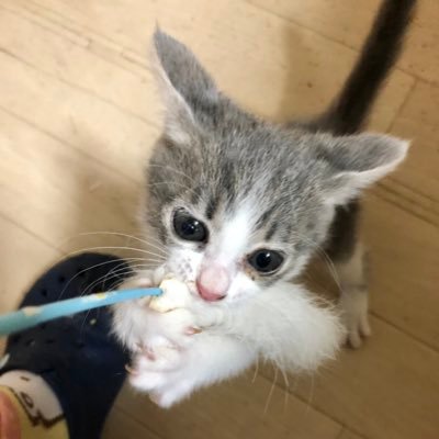 アヤネさんのプロフィール画像