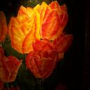 Lynn Shivers - @Lois_Lover - Twitter