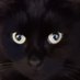 Helen Cotter (@pickle5668) Twitter profile photo Helen Cotter (@pickle5668) Twitter profile photo