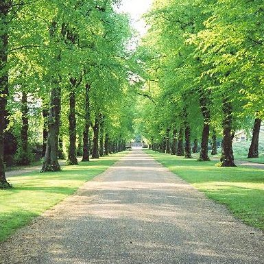 Norfolk Heritage Park is a unique inner city green space - 28 hectares of Grade II* listed historic parkland with fine views over the City of Sheffield.