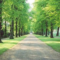 Friends of Norfolk Heritage Park (@fonhpsheffield) 's Twitter Profile