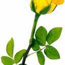 anna moncada - @lachicacruel - Twitter