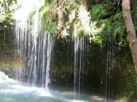 AdventistsInAR's profile picture. Connect with all the Adventists in Arkansas