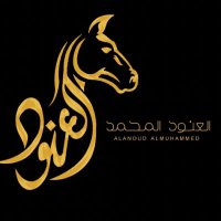 العنود العجلان ♞. (@alanoudmuhmmed) 's Twitter Profile Photo العنود العجلان ♞. (@alanoudmuhmmed) 's Twitter Profile Photo