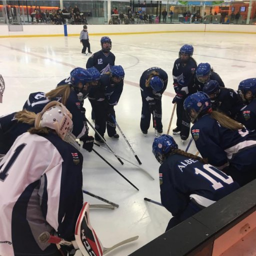 The journey of a U20 ringette team competing at Canada Winter Games in Red Deer, AB in February 2019. Follow us on FB: CWG Team AB 2019 and IG: @cwg_teamab19