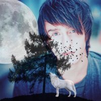 Evan Hansen (@afallenacorn) 's Twitter Profile