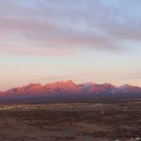 NO (@nmsugoaggies) 's Twitter Profile