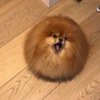bl (@biurrv3) 's Twitter Profile