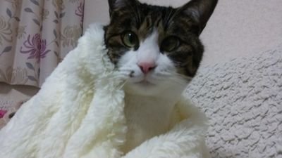 2W8ma00ovy3zp8Y's profile picture. 