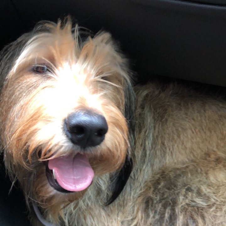 jamesalbertfash's profile picture. I LOVE FASHION